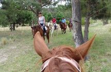 1.5 hr Horseback Riding Montevideo, Uruguay, with transportation