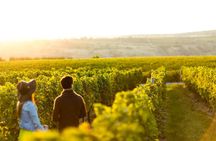 Margaret River Private Tour