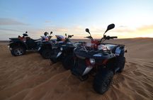 QUAD in Timimoun