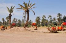 Marrakech Activities Bundle Discount 3 For 2