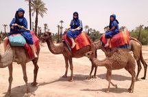 Marrakech Activities Bundle Discount 3 For 2