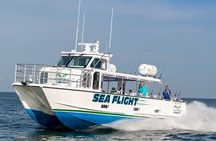 Deep Sea Fishing EIGHT Hour