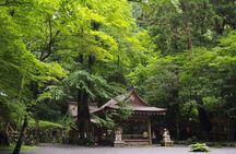 1 Day Hiking Tour in the Mountains of Kyoto
