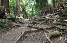 1 Day Hiking Tour in the Mountains of Kyoto