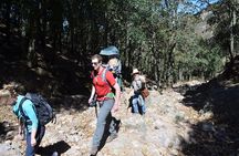Hike in the Sierra de Santa Rosa