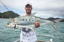 4H Snorkeling and Fishing Cruise on Magnetic Island