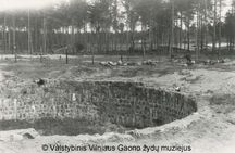 Half Day Private Jewish Vilnius Tour with a Litvak: Jewish Quarter, Ponar Forest