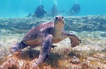 Try a Scuba Diving Experience 