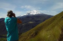 Papallacta Hot Springs (PRIVATE Day Trip)