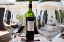 Wine cellar & Tasting in Montevideo with Outstanding Lunch