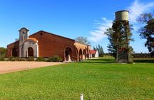Wine cellar & Tasting in Montevideo with Outstanding Lunch