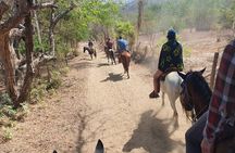 Horses on The Beach or Hot Springs