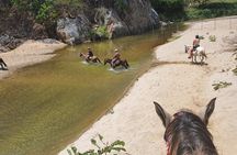 Horses on The Beach or Hot Springs
