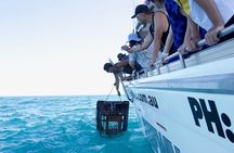 Kalbarri Rock lobster Pot Pull Tour in Kalbarri