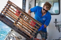 Kalbarri Rock lobster Pot Pull Tour in Kalbarri