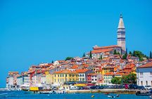 Divine Wine & Olive Oil Tasting in Istria Full-day Tour