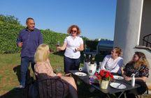 Divine Wine & Olive Oil Tasting in Istria Full-day Tour