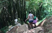 Small-Group Hiking Adventure through Grand Etang National Park in Grenada