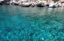 Semi Private Morning Cruise from Pollonia to Polyaigos