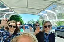 Private TukTuk guided Tour in Helsinki 2,5 hrs 