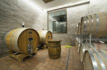 Small-Group Exclusive Winery and Wine Tasting Tour in Frascati