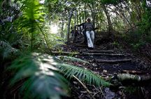 3-Day Private Hiking Trail in The Overberg