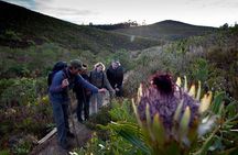 3-Day Private Hiking Trail in The Overberg