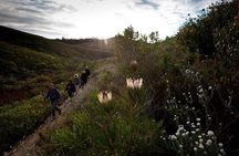 3-Day Private Hiking Trail in The Overberg