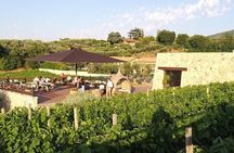 Small-Group Exclusive Winery and Wine Tasting Tour in Frascati