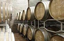 Small-Group Exclusive Winery and Wine Tasting Tour in Frascati