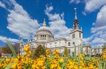Explore London's History with an Archaeologist 