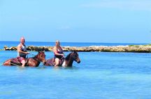 Negril 45-minute Guided Horseback Ride and Swim