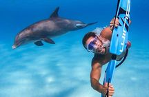 Swim with dolphin By Private Speed Boat and Sub wing Game - Hurghada 