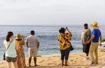 Private Cabo San Lucas City Tour