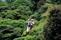 Day Trip from San Jose to Braulio Carrillo Canopy Tour