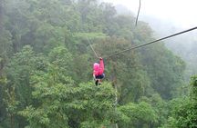 Day Trip from San Jose to Braulio Carrillo Canopy Tour