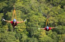 Day Trip from San Jose to Braulio Carrillo Canopy Tour