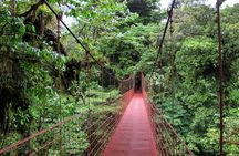 Day trip from San Jose to Monteverde Cloud Forest & Sky Adventure Park