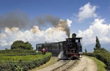 A Full Day Tour Of Darjeeling