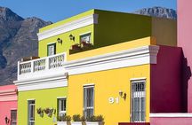 Table Mountain and Cape Town City Half-Day Trip