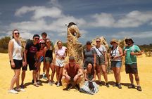 7-Day Exmouth Explorer via Pinnacles Monkey Mia Ningaloo Reef returning to Perth