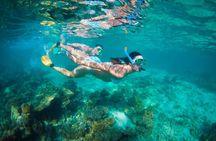 7-Day Exmouth Explorer via Pinnacles Monkey Mia Ningaloo Reef returning to Perth
