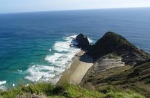 Cape Reinga Half-Day Tour Including Scenic Flight