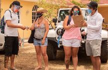 Cozumel Private Jeep Tour with Snorkeling Experience and Lunch
