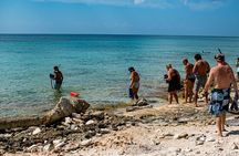 Cozumel Private Jeep Tour with Snorkeling Experience and Lunch