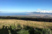 Maui Haleakala Sunrise Downhill Bike Tour with Mountain Riders Rated #1
