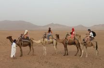 Zagora & Kasbahs 2 Day Desert Tour from Marrakech