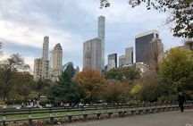 Central Park Guided Pedicab Tours