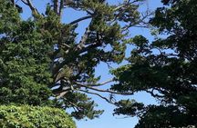 Connemara, Kylemore Abbey and Wild Atlantic Way tour from Galway