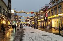 Essential Tromso Historical City Walk